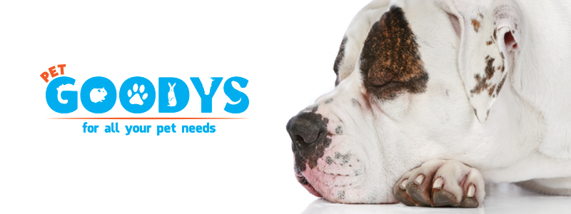 Dogs
