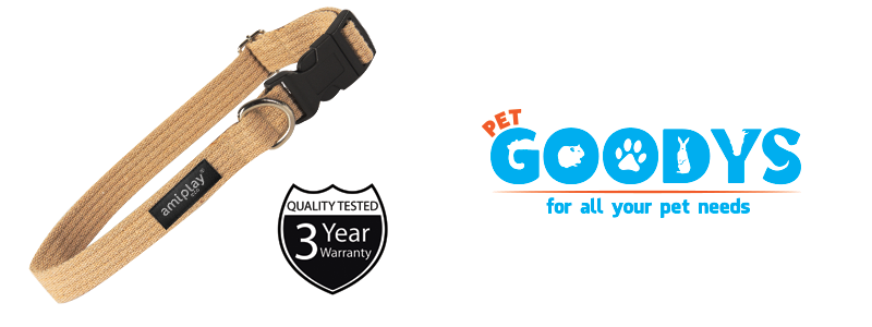 Dog Collars and leads